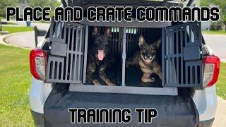 How a 'Place' and 'Crate' Command is Important in Dog Training