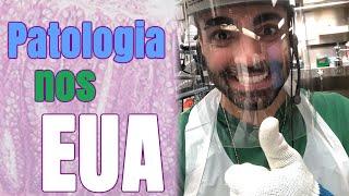 Como é Patologia nos EUA? - USMLE / Residência Médica