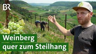 Weinbau in Franken: Mit Querterrassen steile Weinberge bewirtschaften | Wein | Unser Land | BR