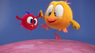 Chicky & Friends | Where's Chicky? | Cartoon Collection in English for Kids | New episodes HD