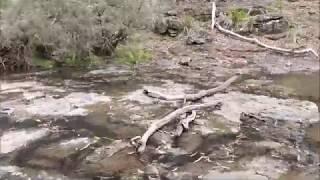 Norfolk and Bald Hill Creek Falls Walk in Coolah Tops NP -