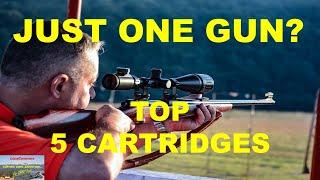 TOP 5 Cartridges For The 1 GUN Hunter