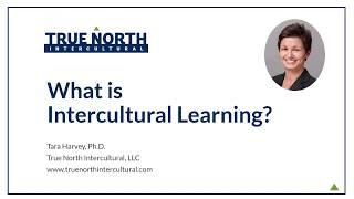 Defining "Intercultural Learning"