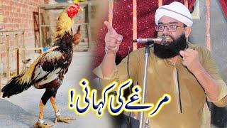 New Latest Saraiki Taqreer Peer Syed Ahmad Raza Shah Bukhari Sahb | Qaswar Studio