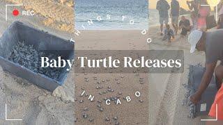 Things to Do in Cabo: Release Baby Turtles into the Ocean at Sunset