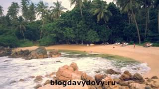 Пляж Сикрет бич, Мириса(Secret beach, Mirissa) февраль 2015, Шри-Ланка (Sri Lanka)