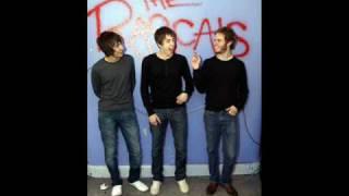 The Rascals - 2008.11.21 - Diamond Trip (New Song?)