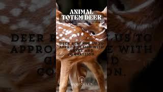 DEER- Animal Totem