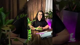 Кейс клиентки #коучинг #психология #лайфкоуч