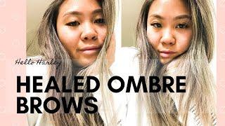 Healed Ombre Powdered Brows| Q&A