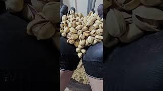 پسته کله قوچی سوپر