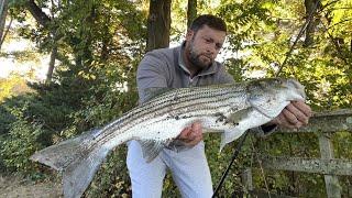 Northshore Striped Bass 10/21/24 Surf Fishing Long Island's Fall Run