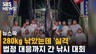 280kg 청새치 낚았는데 '실격'…거대 낚시 대회서 무슨 일? / SBS / 뉴스딱