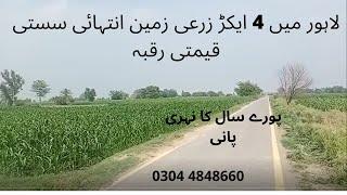 4 Acre Plot/Agricultural/Raqba/Land for sale in Lahore cheap Raqba, land  #sastizameen #raqba #plot