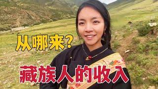 【Lhamo】208 Are Tibetans rich? Herdsmen Raise Hundreds of Yaks to Dig Cordyceps