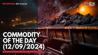 Commodity of the day (12/09/2024) | IDX CHANNEL