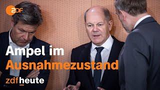 Ampel-Regierung unter Dauerdruck: Regieren in der Zeitenwende | ZDFzoom