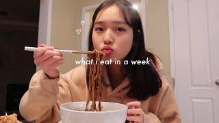 what i eat in a week pt 7 (korean & realistic)