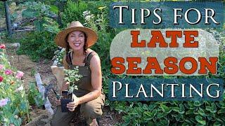 Tips for Successful Late Season Planting- Dealing with Plant Stress