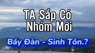 TA sắp có nhóm mới | Bầy Đàn và Sinh Tồn