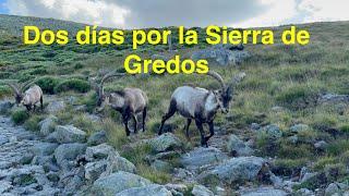 Dos días por la Sierra de Gredos (Ávila-España)