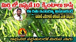 మిర్చి లో ఇప్పుడే 10 క్వింటాలు కాస్తే | Mirchi Farming With Profit | Mirupa sagu | Mana Kisan Tv