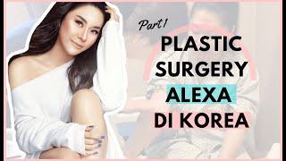 Plastic Surgery Alexa di Korea bareng Eunogo (Part 1)