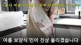 초가을 민어로 아내에게 해주는 5가지 요리