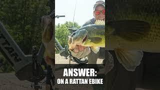 QUESTION for good BANK FISHERMEN  #shorts #fishing #bassfishing #bankfishing