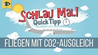 Fliegen mit CO2-Ausgleich/CO2-Kompensation - sinnvoll für die Umwelt oder Ablasshandel? - Schlaumal