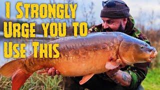 #carpfishing -The Short Day Session - Here's how.