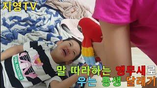 우는 동생도 뚝 그치게 만드는 말 따라하는 앵무새 ability to mimic human speech parrot toy review