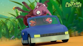 Bug Racing Disaster! | Antiks | Funny Cartoons for Kids | Moonbug Kids Express Yourself!