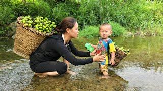 Harvesting natural fruits for sale - weeding the cassava garden - the daily life of a single mother