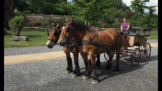 VLOG#1 réalisé par un adhérent : Une journée avec les sabots du relais launois sur vence ardennes