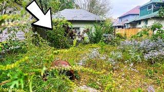 Single Mom Left STUNNED after we CLEANED this Overgrow Yard for FREE!