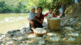 Harvest giant duck eggs to sell at the market - make dishes from duck eggs with your children