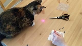 Laser Pointer Cat Toy Review!!!