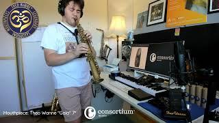 Mouthpiece Demo | AVEL "SCIROCCO" & THEO WANNE GAIA | Consortium Music