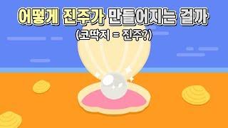 (Eng sub) How clam makes pearls