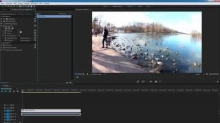 Как перевернуть видео ( Adobe Premiere )