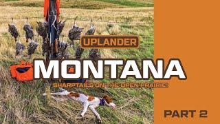 Montana Part 2! Sharptails on the Open Prairie