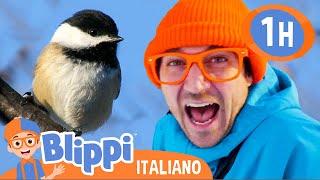 Blippi alla scoperta degli uccelli – Animali nella natura | Blippi | Video educativi per bambini