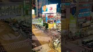 Shibuya Crossing #shorts