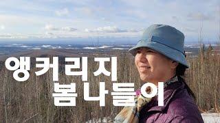 소소하지만 확실한 행복! 알래스카에서 가장 큰 도시 앵커리지로 봄바람 쏘이고 왔습니다. #alaska #anchorage #봄나들이