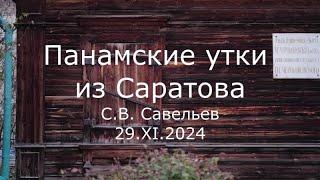 С.В. Савельев - Панамские утки из Саратова