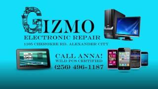 Gizmo Electronic Repair080317