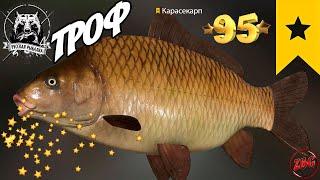 КАРАСЕКАРП ТРОФ  о. МЕДНОЕ ⭐ РУССКАЯ РЫБАЛКА 4 |  RUSSIAN FISHING 4@Z-B-G