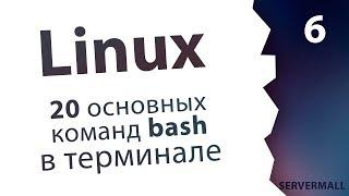 #6. Команды bash и основные программы / Linux