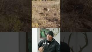 MOUNTAIN LION ENCOUNTER! Watch the full episode on Endless Venture